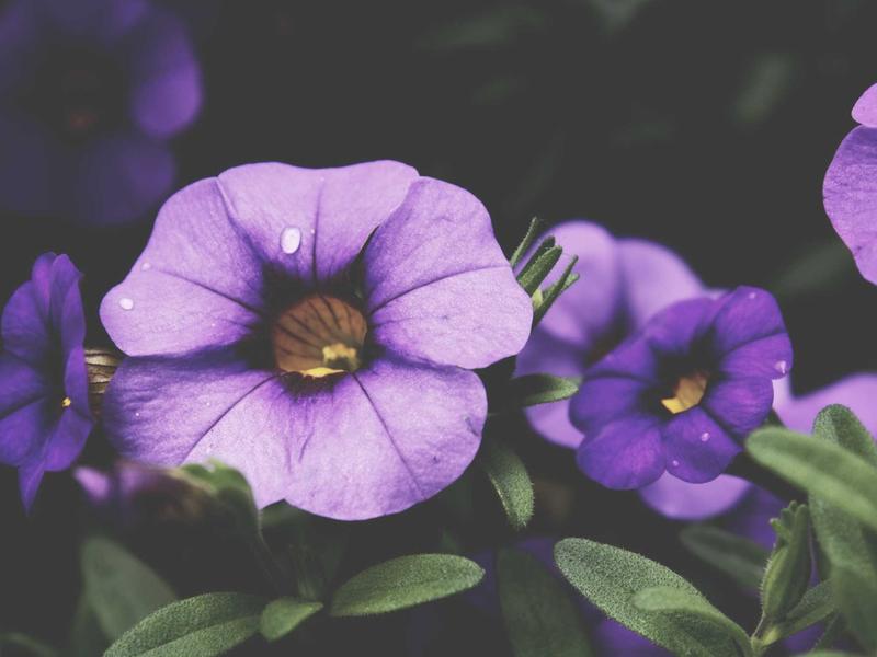 sudoku neon theme screenshot 5